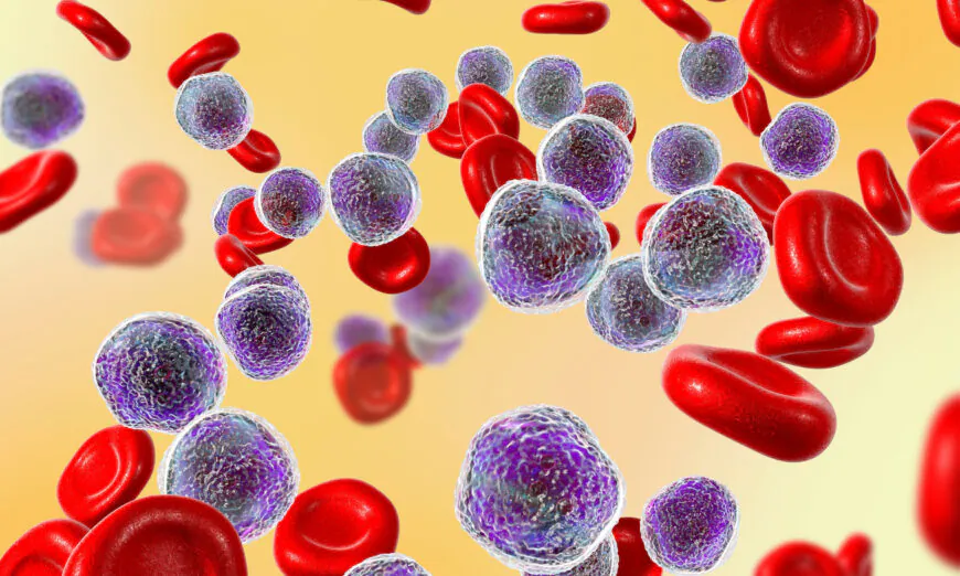 8 cách giữ cho tủy xương mạnh khỏe để ngăn ngừa bệnh ung thư