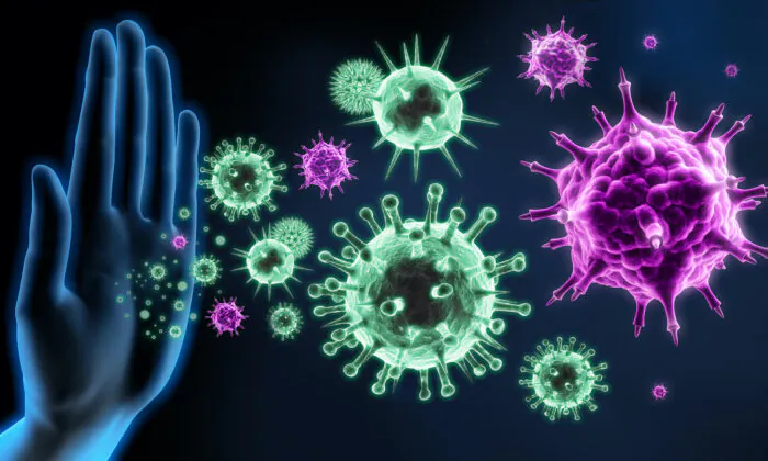 Hệ miễn dịch kỳ diệu: Một kiệt tác về thiết kế và khả năng phục hồi cho sức khỏe suốt đời