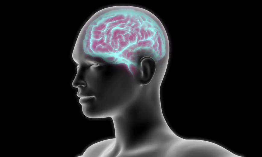 (Ảnh: Magic mine/Shutterstock)