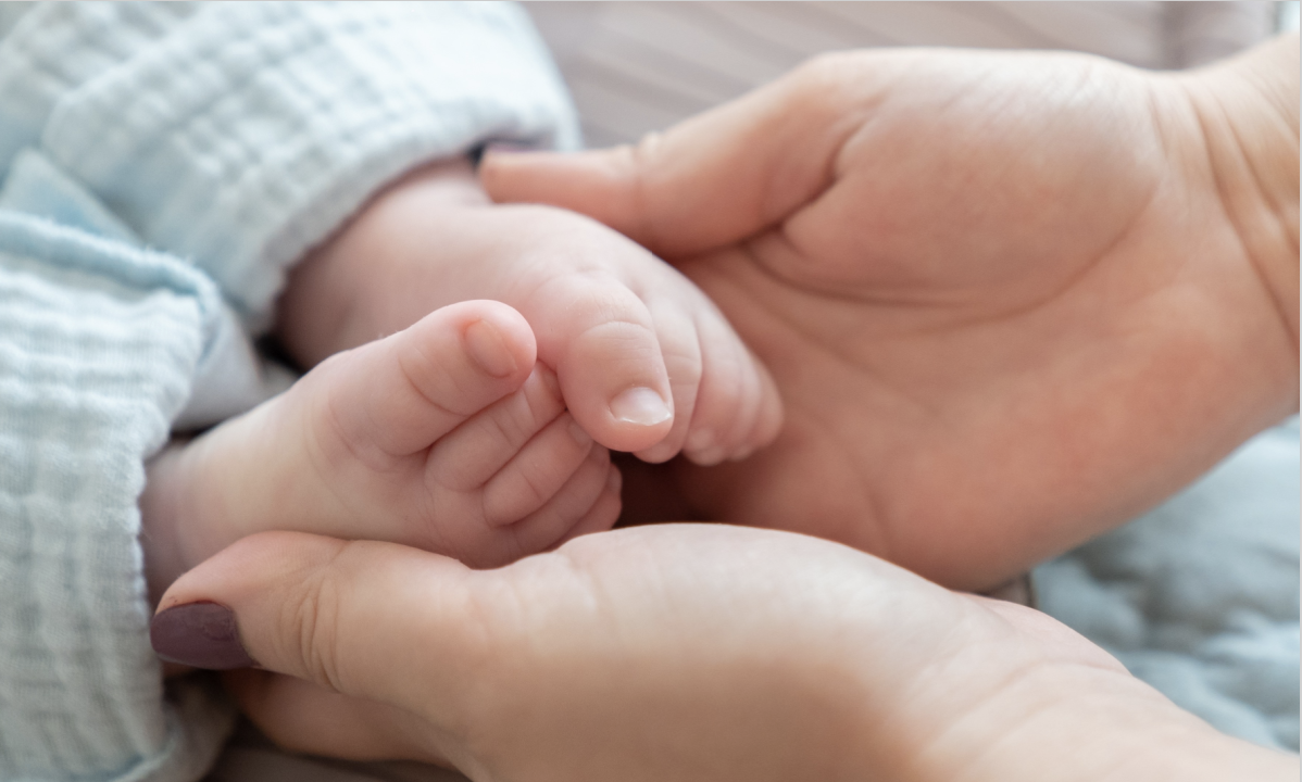 (Ảnh: Gabriel Pahontu/Shutterstock)