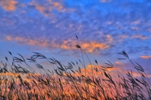 Không buồn, không sợ, không vui cũng không cuồng, hết thảy đều thuận theo tự nhiên. (Ảnh: Pixabay)