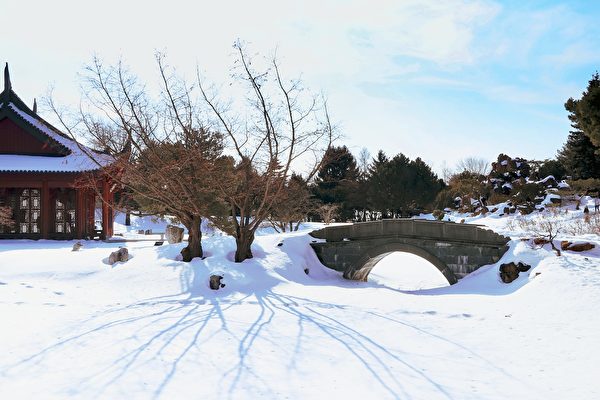 Một trận tuyết ngẫu nhiên gặp phải đã thay đổi cuộc đời của anh ấy. (Ảnh: Pixabay)