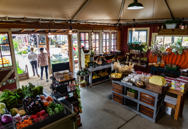 Trang trại của nhà Manassero ở Irvine, California, vào ngày 07/10/2021. (Ảnh: John Fredricks/The Epoch Times)