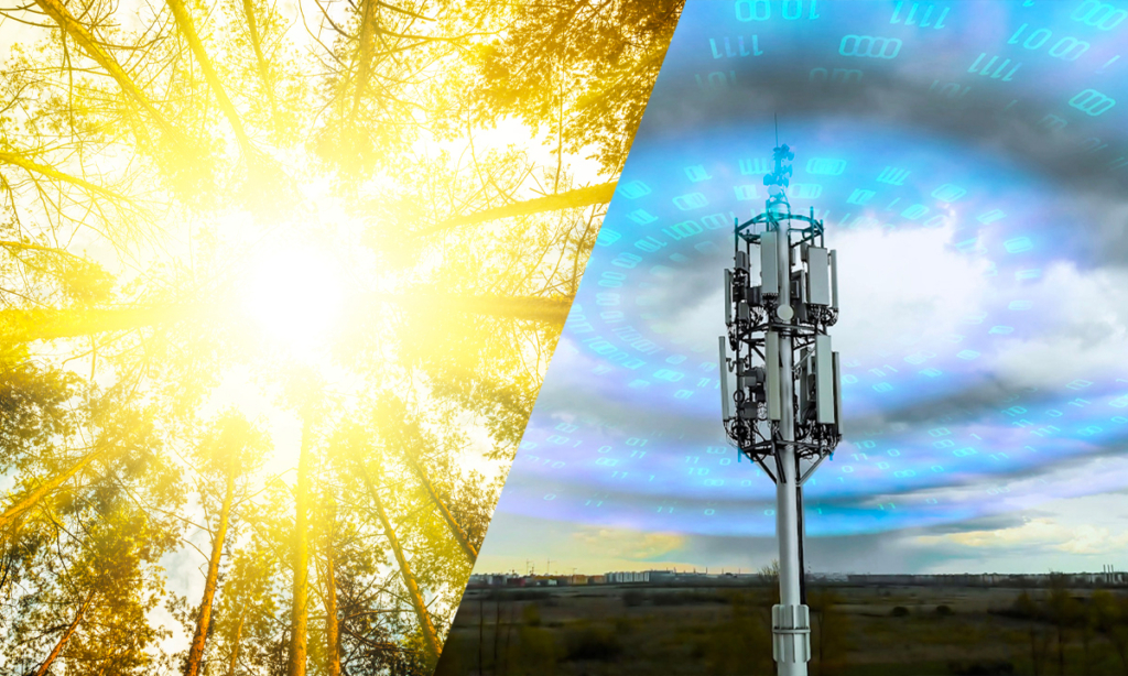 Vì sao Wi-Fi, Bluetooth, điện thoại di động lại gây hại cho tế bào?