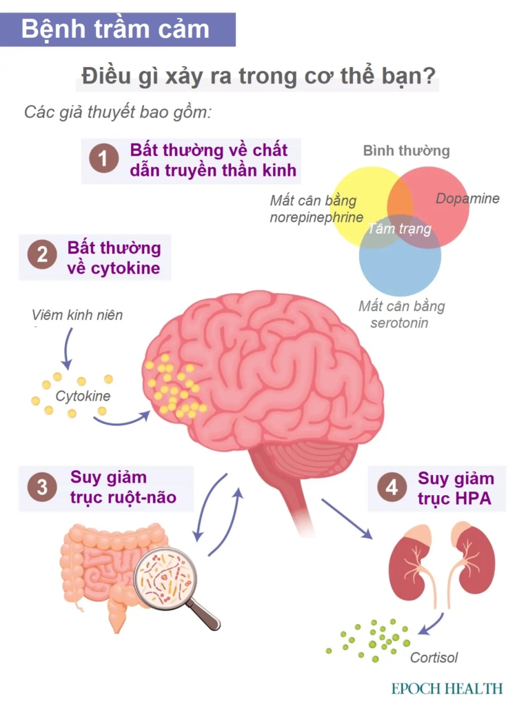 Hướng dẫn cơ bản về bệnh trầm cảm: Triệu chứng, nguyên nhân, phương pháp điều trị và cách tiếp cận tự nhiên