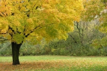 Vạn vật trên thế gian đều có đích đến của mình. Đôi khi chúng ta tưởng mình đã “mất” thứ gì đó, nhưng có lẽ không phải vậy. (Ảnh: Đường Phượng Nhi/Epoch Times)