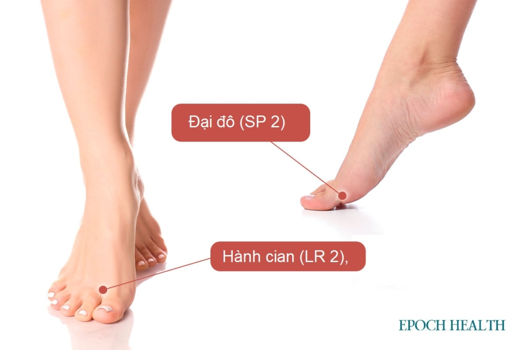 Bạn chưa biết cách điều trị giãn tĩnh mạch chi dưới? Trung y có giải pháp