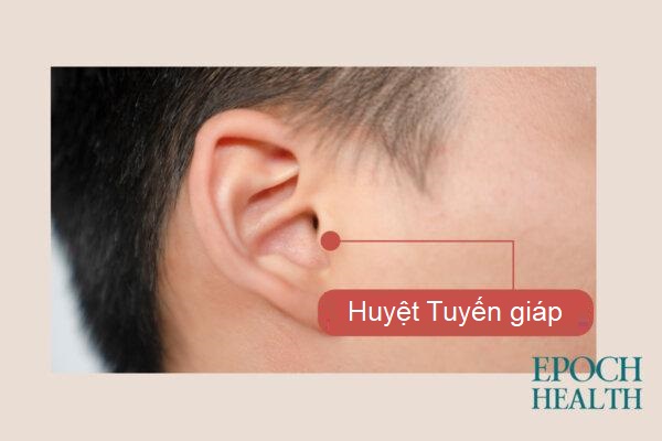 Xoa bóp huyệt vị để cải thiện chức năng tuyến giáp
