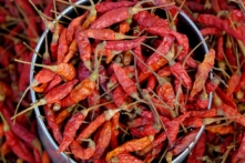 (Ảnh: nunawwoofy/Shutterstock)