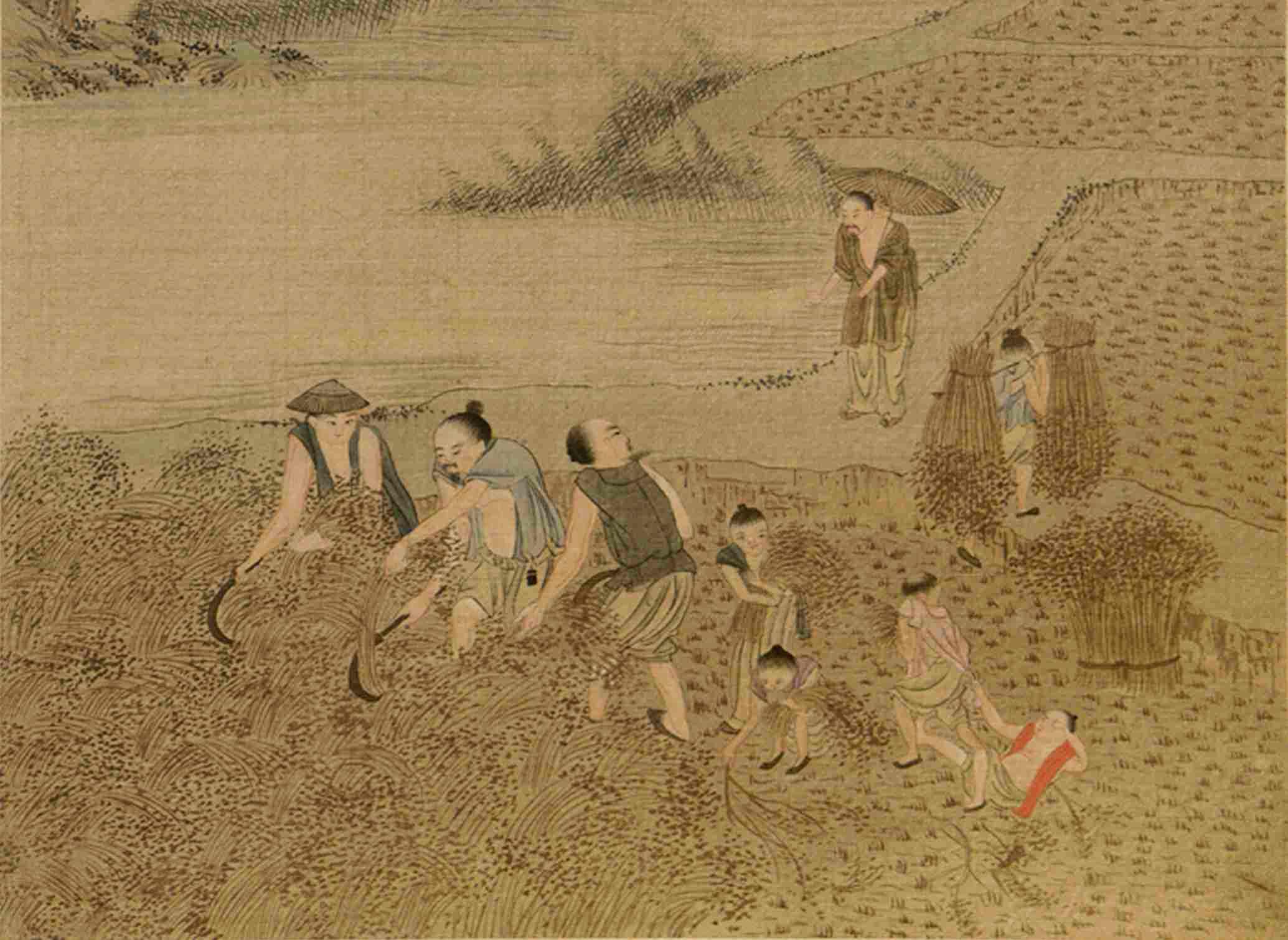 Điều này không chỉ giúp nông dân tăng sản lượng mà còn giúp ông thu được lợi nhuận và chiếm được cảm tình của mọi người. Hình ảnh thể hiện một phần cuốn “Canh chức đồ” của Tiêu Bỉnh Trinh thời nhà Thanh. (Ảnh: Tài sản công)