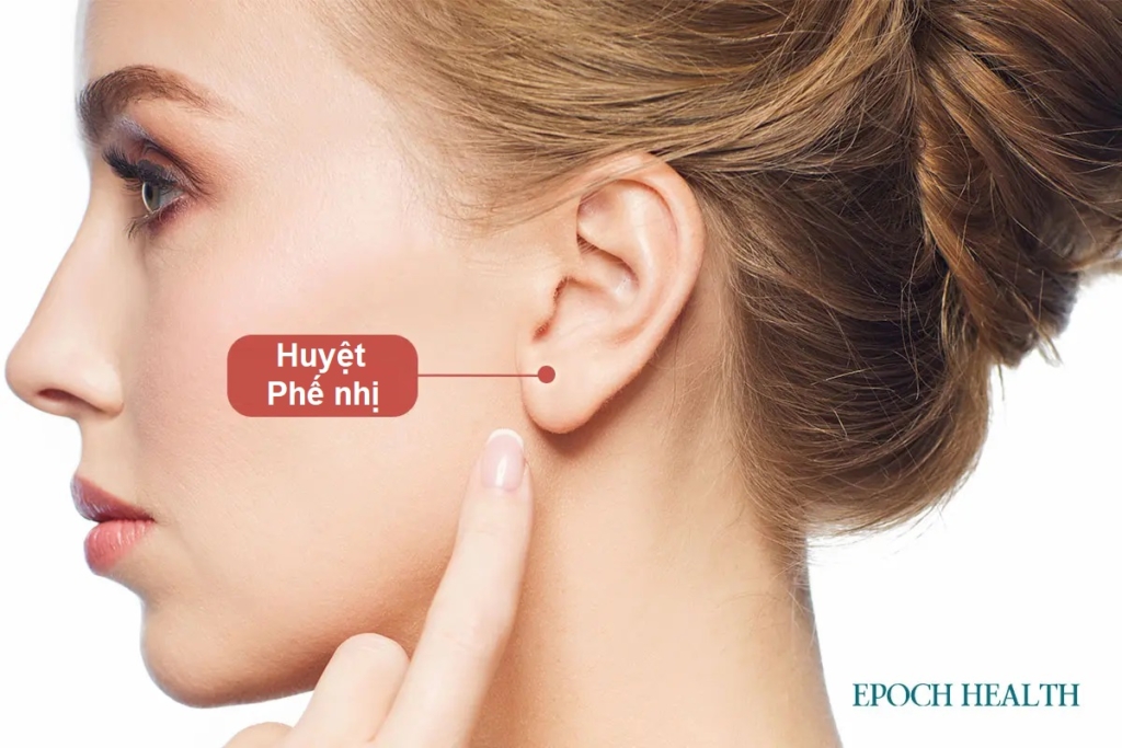 7 huyệt vị giúp phòng ngừa bệnh tim