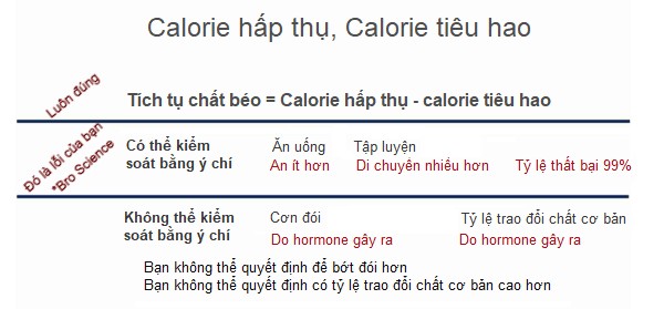 Kiểm soát cơn đói - Phần 2