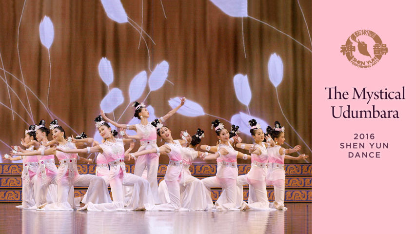 Hoa Ưu Đàm Bà La