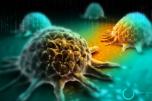 (Ảnh: Creations/Shutterstock)