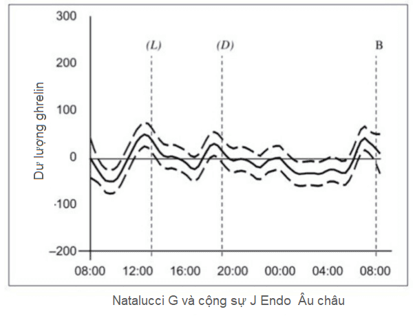 Kiểm soát cơn đói - Phần 2
