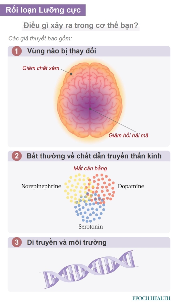 Hướng dẫn cơ bản về bệnh rối loạn lưỡng cực: Triệu chứng, nguyên nhân, phương pháp điều trị và cách tiếp cận tự nhiên