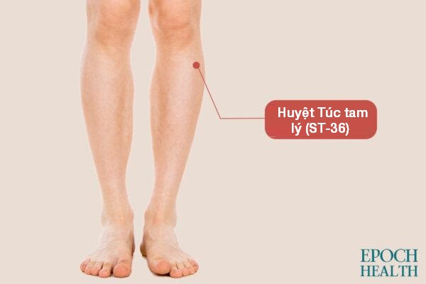 4 thói quen xấu gây hại thận, bấm huyệt để bảo vệ thận