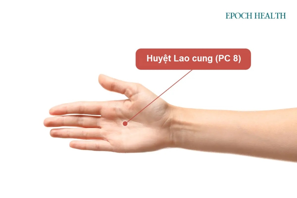 7 huyệt vị giúp phòng ngừa bệnh tim