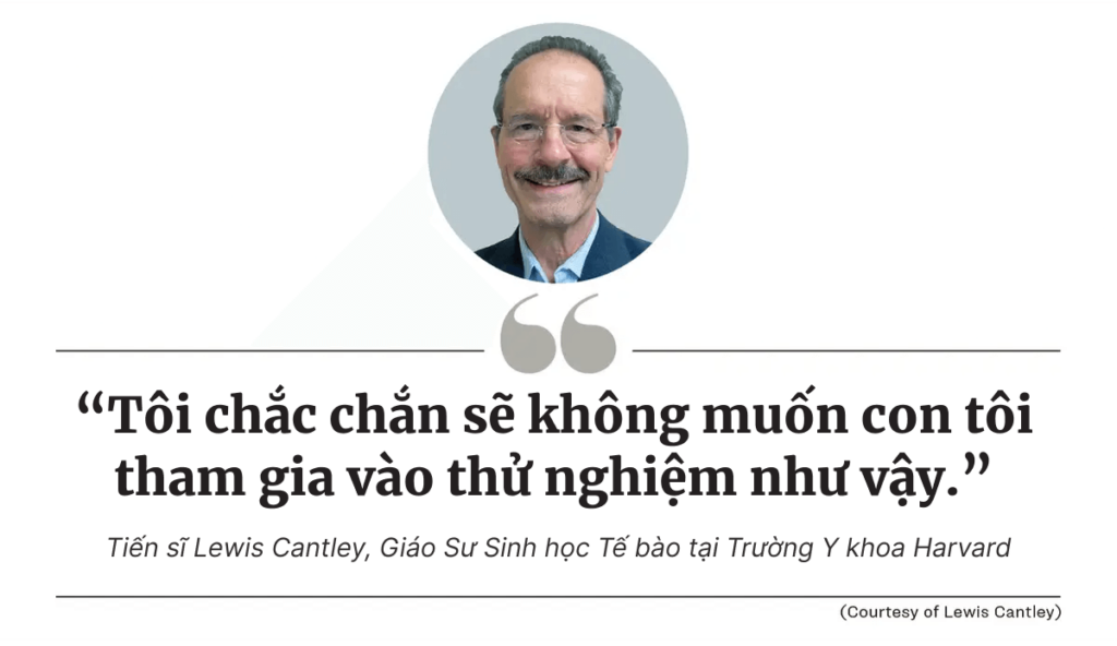 Đường cung cấp năng lượng cho tế bào ung thư như thế nào?