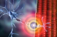 (Ảnh: Kateryna Kon/Shutterstock)