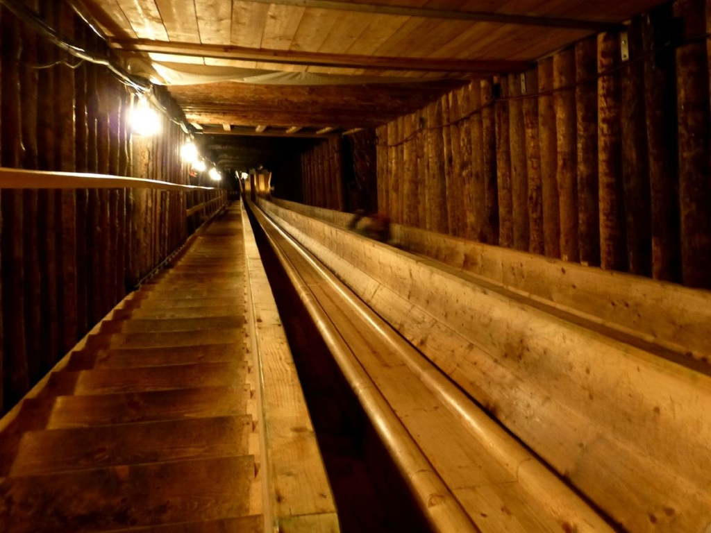 (Ảnh: Hiroki Ogawa/CC BY 3.0)