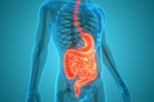 (Ảnh: Magic mine/Shutterstock)