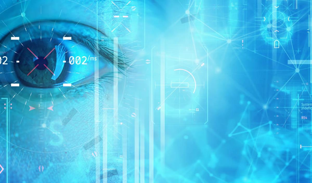 (Ảnh: WHYFRAME/Shutterstock)