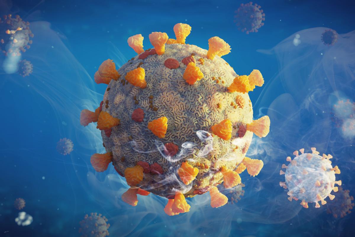 (Dotted Yeti/Shutterstock)