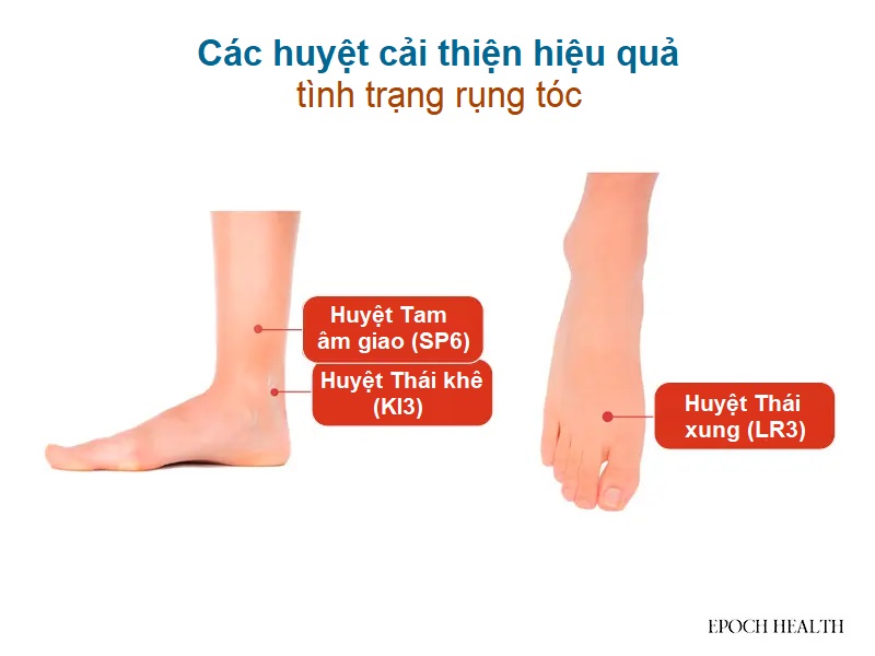 Cách tự nhiên nuôi dưỡng mái tóc dày dặn và chắc khỏe, 6 cách giảm rụng tóc