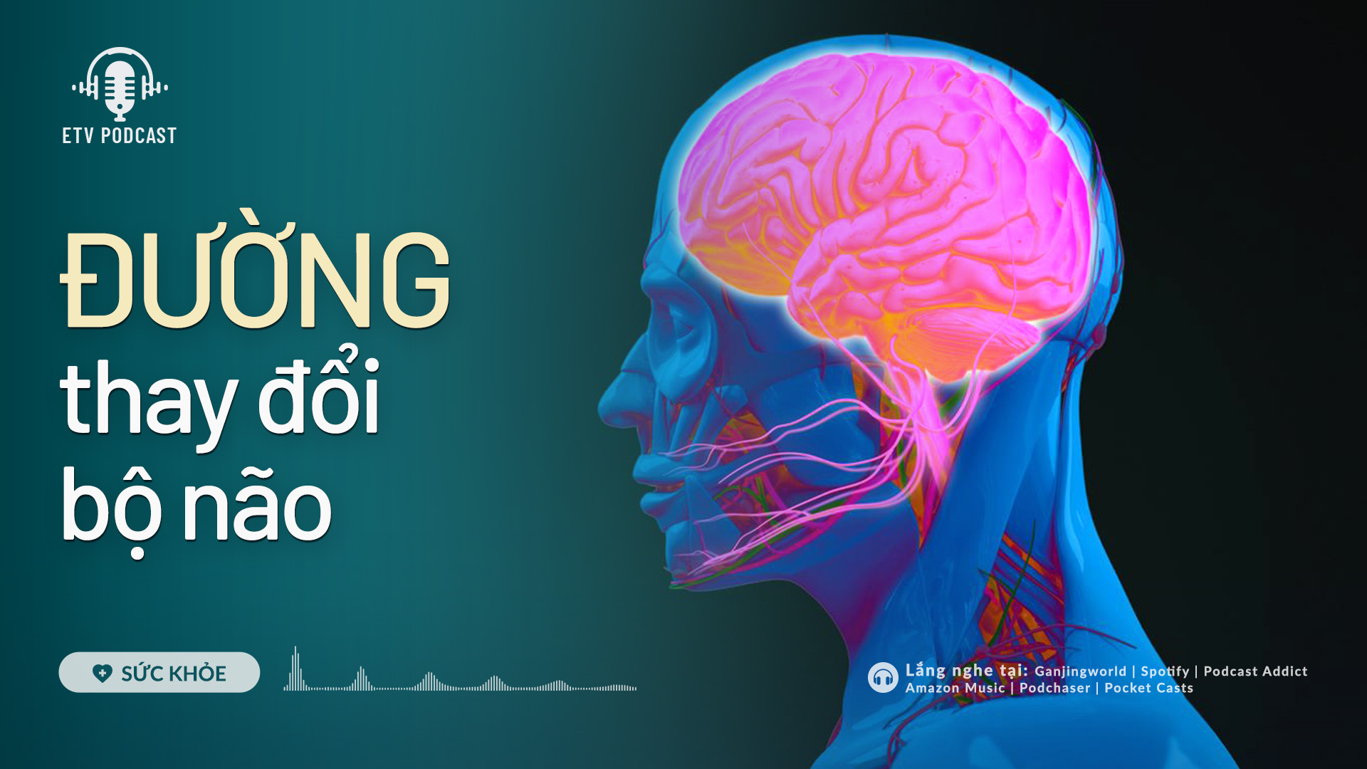 Đường thay đổi bộ não | Sức khỏe 