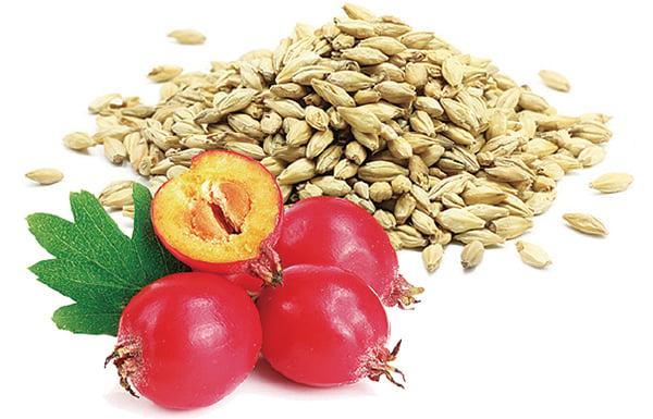 Phương pháp tự nhiên giúp giảm đau dạ dày