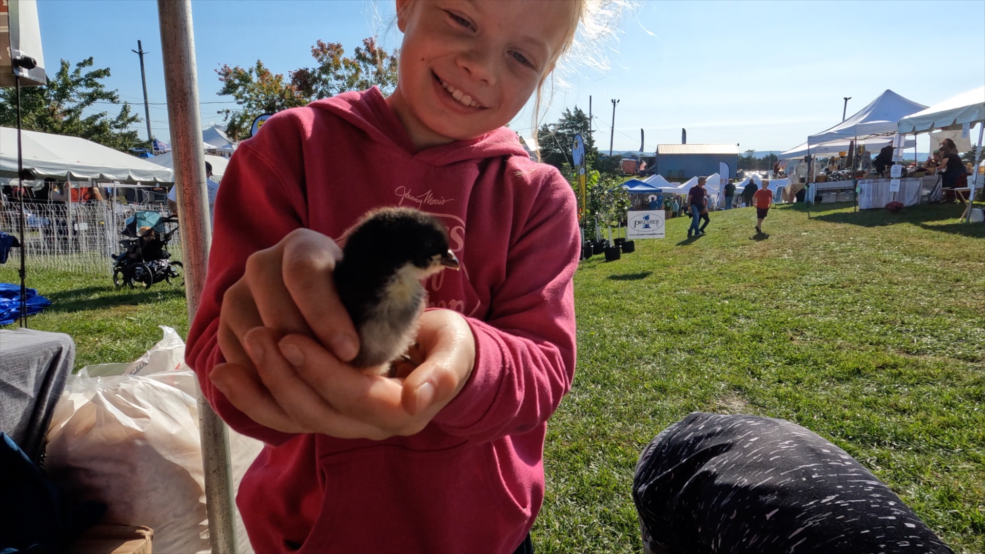 Một em nhỏ đang cầm một chú gà con. (Ảnh: Đăng dưới sự cho phép của Hội nghị Nông dân Hoa Kỳ)