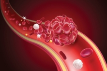 (Ảnh: peakanucha/ShutterStock)