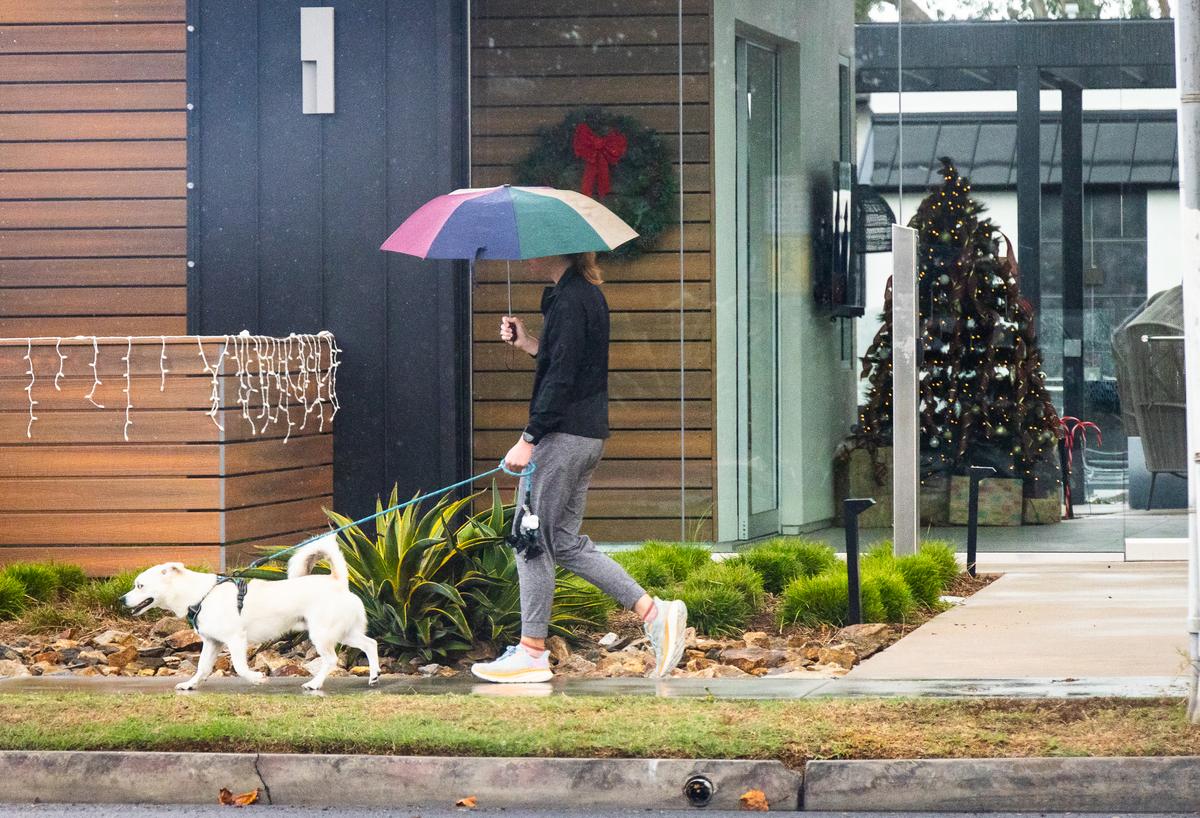 Quận Los Angeles thu được hơn 700 triệu gallon nước mưa chỉ trong tuần này