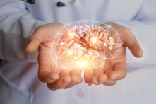 Siêu máy điện toán ‘đầu tiên trên thế giới’ mô phỏng não người đang được chế tạo ở Sydney