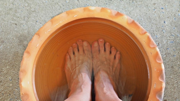 (Ảnh: Sruilk/Shutterstock)