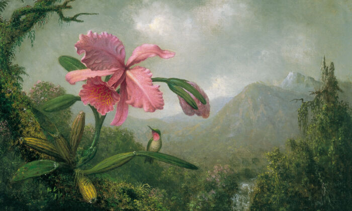 “Hoa lan và chim ruồi bên một thác nước trên núi cao.” Tác phẩm của hoạ sĩ Martin Johnson Heade, vẽ năm 1902. Kích thước 15 inch x 20 ¼ inch. Bảo tàng Thyssen-Bornemisza, thành phố Madrid. (Ảnh: Tài liệu công cộng)