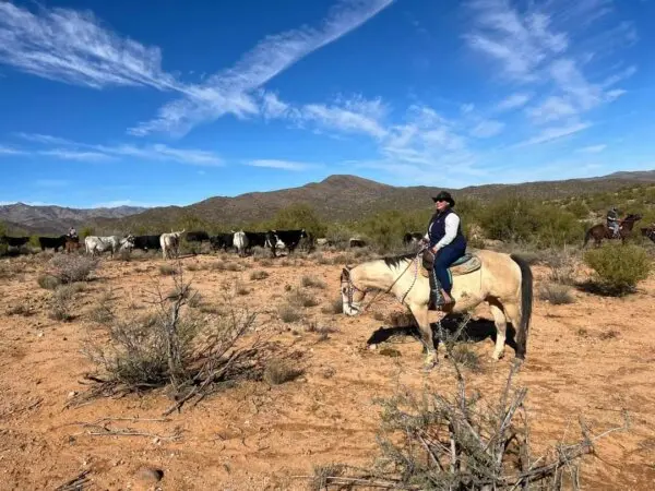 'Lần đầu tiên đốt lửa trại, có điều gì đó đã chuyển biến trong tôi'