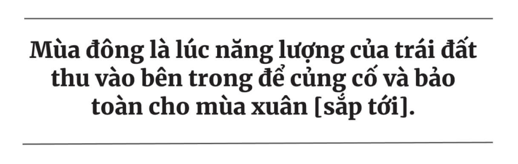 Khởi đầu năm mới lành mạnh và đầy hứng khởi với 10 giải pháp sức khỏe