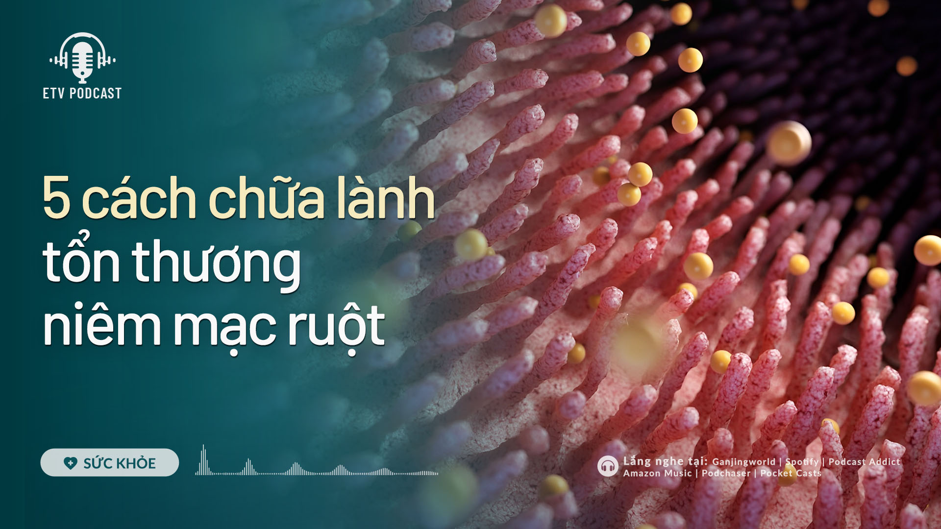 5 cách chữa lành tổn thương niêm mạc ruột | Sức khỏe 