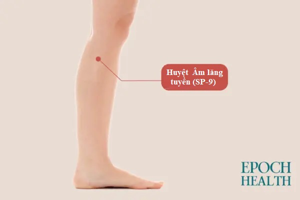 Bảo vệ đầu gối và nâng cao sức khỏe tổng thể bằng phương pháp tự chăm sóc cổ xưa