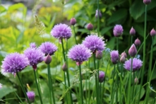 Làm thế nào để giữ gìn sức khỏe tốt vào tiết Lập xuân? (Ảnh: Pixabay)