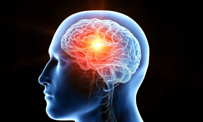 (Ảnh: SciePro/Shutterstock)