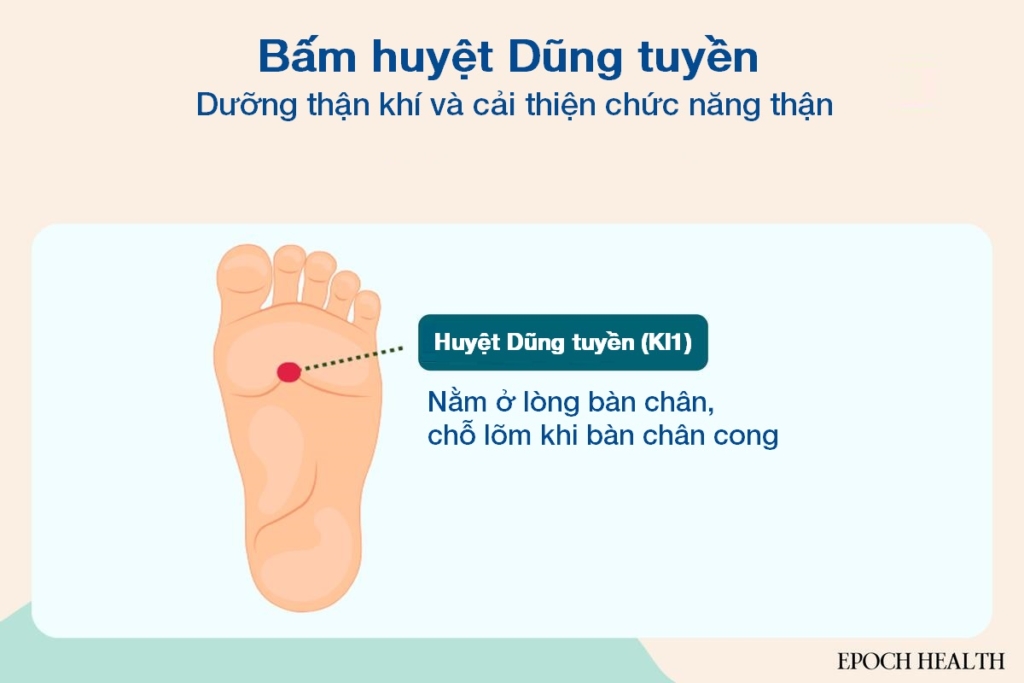 Hướng dẫn chăm sóc thận toàn diện: 4 phương pháp dưỡng thận cổ xưa