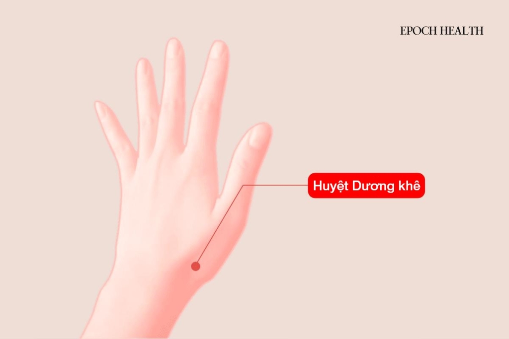 Chiến lược chăm sóc tim cổ xưa giúp ngăn ngừa cơn nhồi máu cơ tim và tai biến mạch máu não