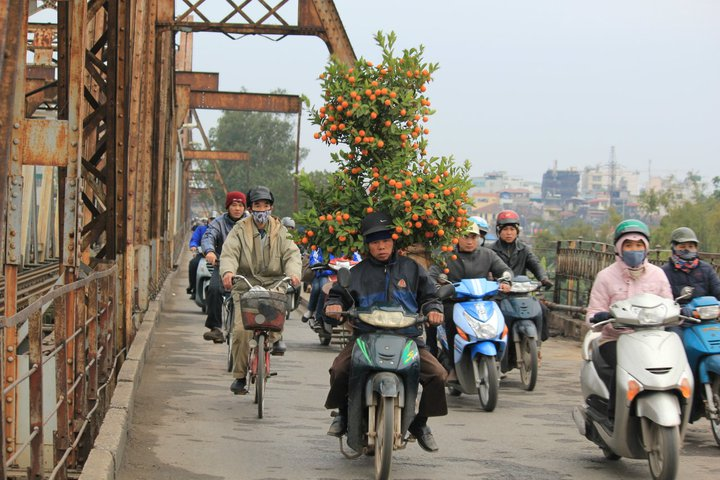 Tết Hà Nội có vội lắm không?