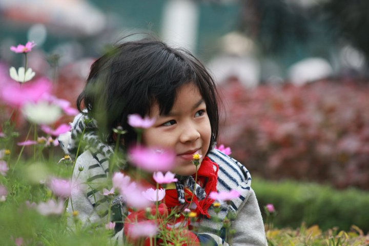 Tết Hà Nội có vội lắm không?