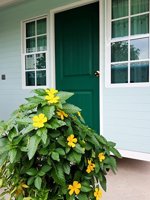 Màu ngọc lục bảo là một màu hoàn mỹ vô khuyết, kết hợp với phong cách ngoại thất nào cũng có thể khiến người ta ấn tượng sâu sắc. (Ảnh: Shutterstock)