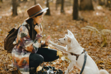 (Ảnh: Bogdan Sonjachnyj/Shutterstock)