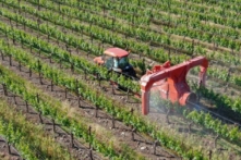 Một máy kéo phun thuốc trừ sâu ở Thung lũng Napa, California (Ảnh: bonandbon/Shutterstock)